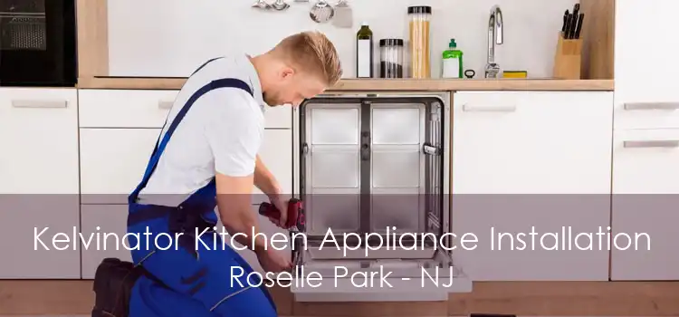 Kelvinator Kitchen Appliance Installation Roselle Park - NJ