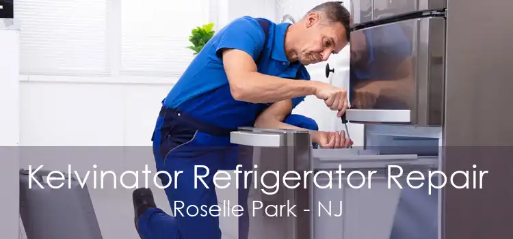Kelvinator Refrigerator Repair Roselle Park - NJ