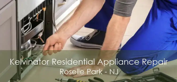 Kelvinator Residential Appliance Repair Roselle Park - NJ