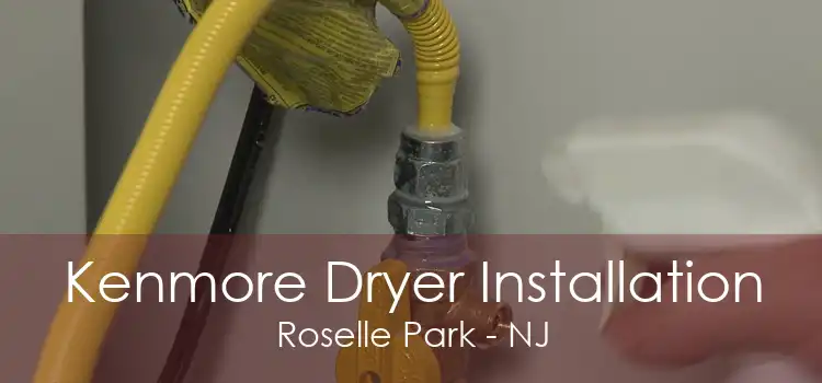 Kenmore Dryer Installation Roselle Park - NJ