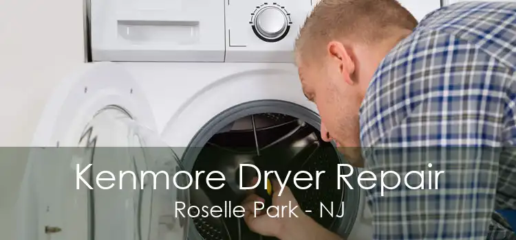 Kenmore Dryer Repair Roselle Park - NJ