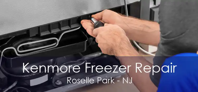 Kenmore Freezer Repair Roselle Park - NJ