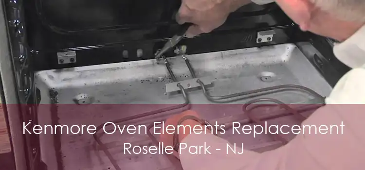 Kenmore Oven Elements Replacement Roselle Park - NJ