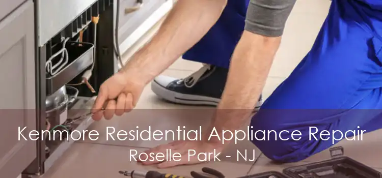 Kenmore Residential Appliance Repair Roselle Park - NJ