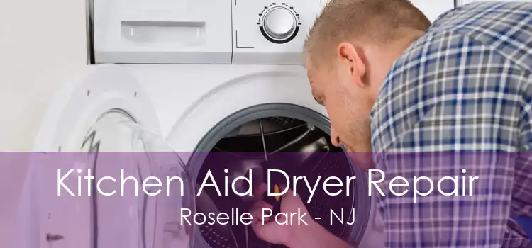 Kitchen Aid Dryer Repair Roselle Park - NJ