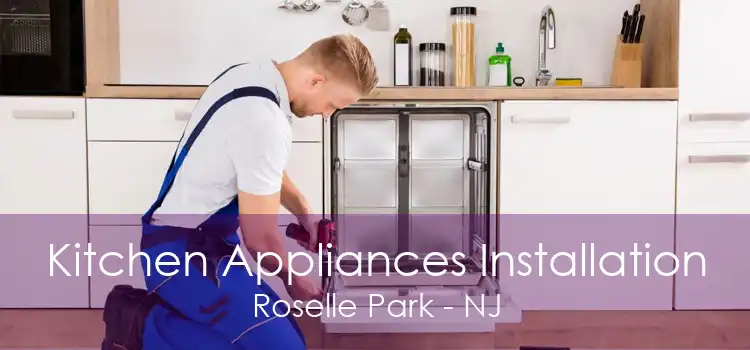Kitchen appliance fitter near me hotsell