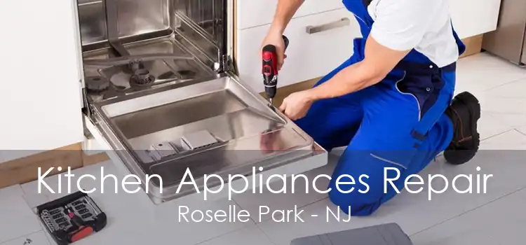 Kitchen Appliances Repair Roselle Park - NJ