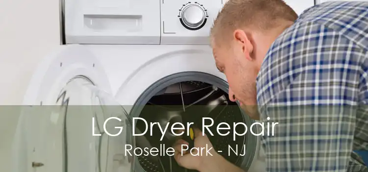 LG Dryer Repair Roselle Park - NJ