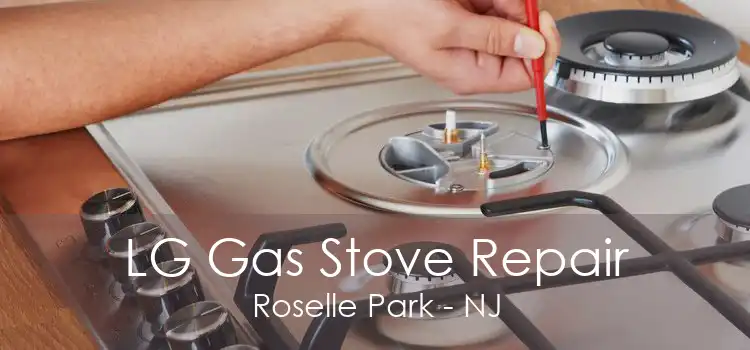 LG Gas Stove Repair Roselle Park - NJ