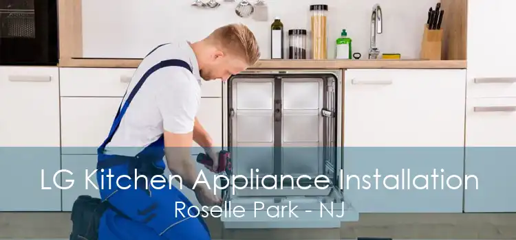 LG Kitchen Appliance Installation Roselle Park - NJ