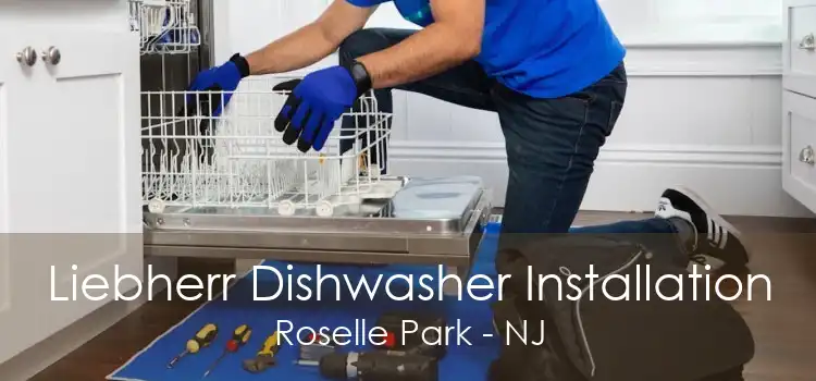 Liebherr Dishwasher Installation Roselle Park - NJ