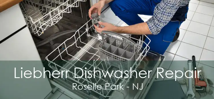 Liebherr Dishwasher Repair Roselle Park - NJ