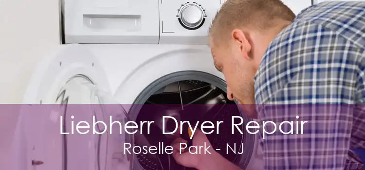 Liebherr Dryer Repair Roselle Park - NJ
