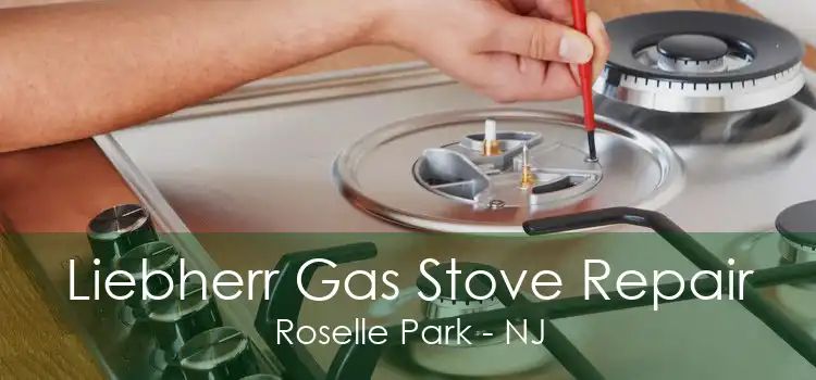 Liebherr Gas Stove Repair Roselle Park - NJ