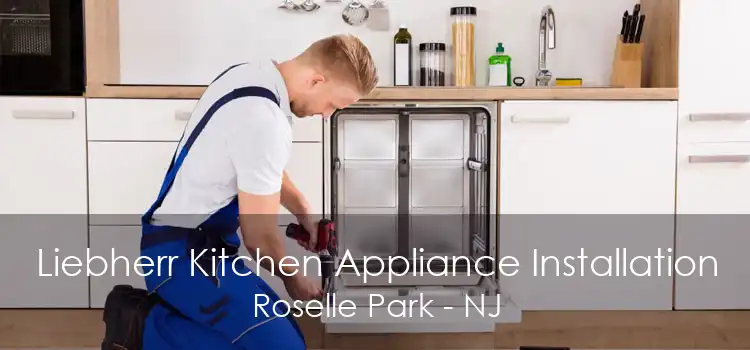 Liebherr Kitchen Appliance Installation Roselle Park - NJ