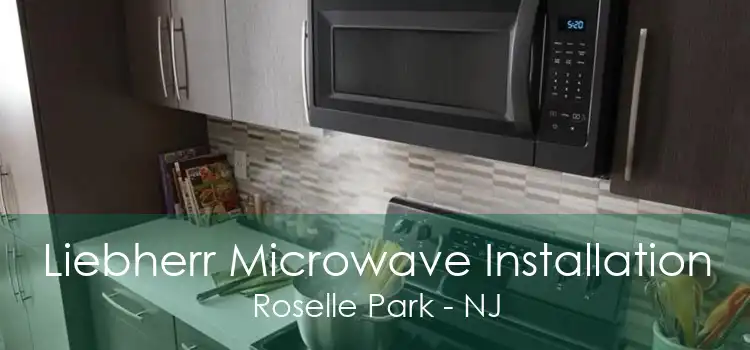 Liebherr Microwave Installation Roselle Park - NJ