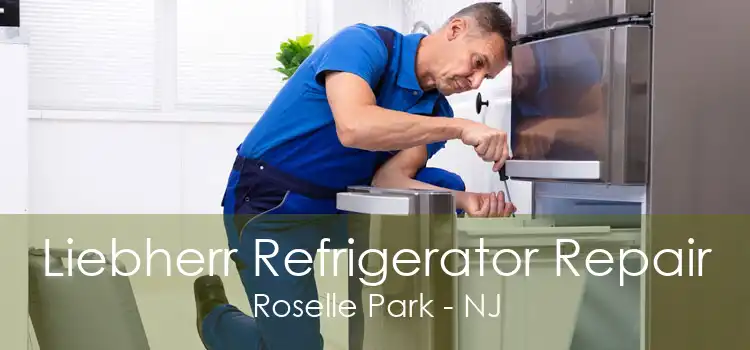 Liebherr Refrigerator Repair Roselle Park - NJ
