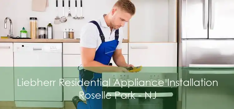 Liebherr Residential Appliance Installation Roselle Park - NJ