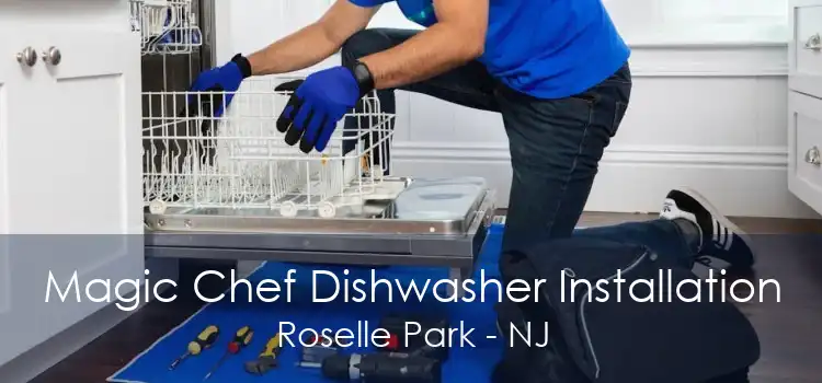 Magic Chef Dishwasher Installation Roselle Park - NJ