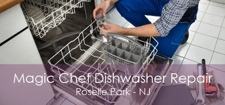 Magic Chef Dishwasher Repair Roselle Park - NJ