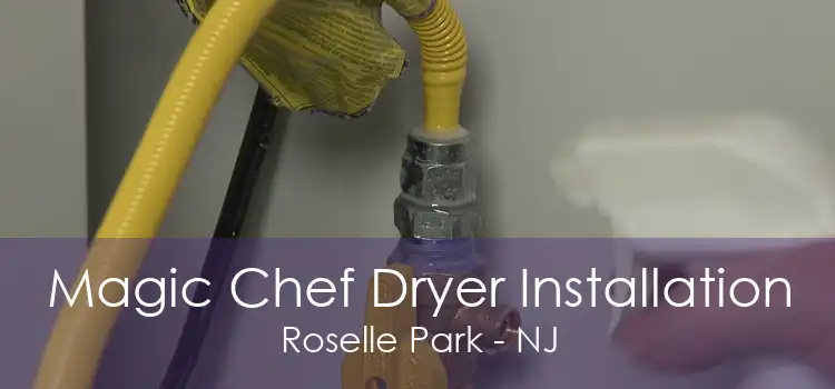 Magic Chef Dryer Installation Roselle Park - NJ
