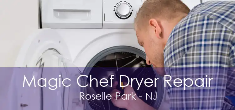Magic Chef Dryer Repair Roselle Park - NJ