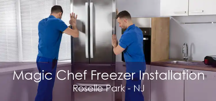 Magic Chef Freezer Installation Roselle Park - NJ