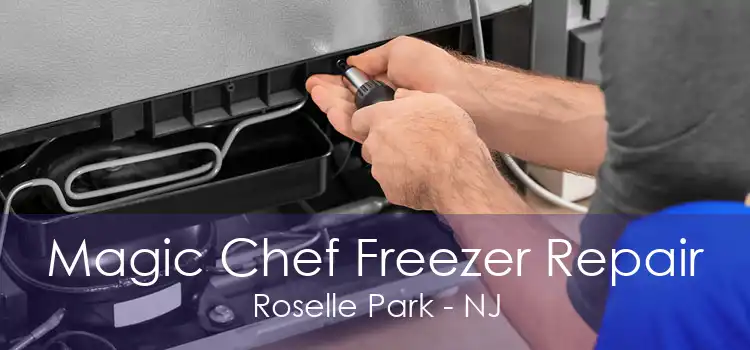 Magic Chef Freezer Repair Roselle Park - NJ