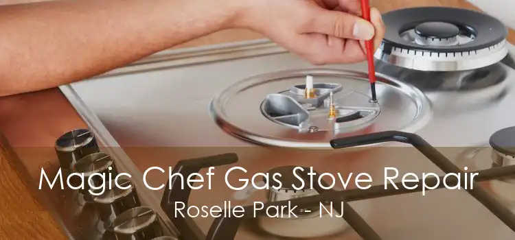 Magic Chef Gas Stove Repair Roselle Park - NJ