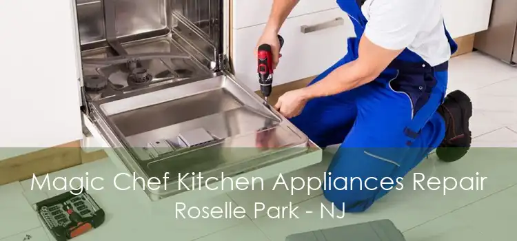 Magic Chef Kitchen Appliances Repair Roselle Park - NJ
