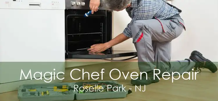 Magic Chef Oven Repair Roselle Park - NJ