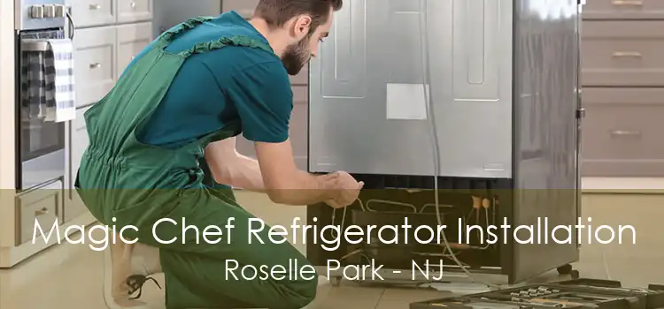 Magic Chef Refrigerator Installation Roselle Park - NJ
