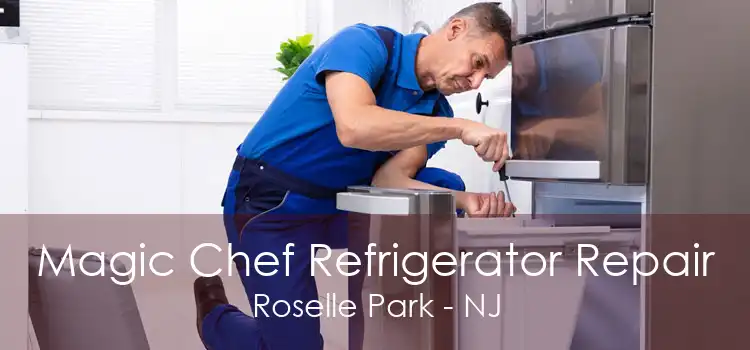 Magic Chef Refrigerator Repair Roselle Park - NJ