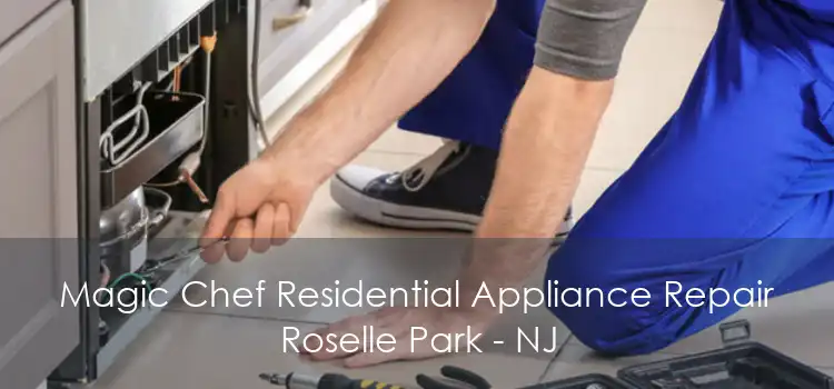Magic Chef Residential Appliance Repair Roselle Park - NJ