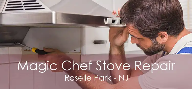 Magic Chef Stove Repair Roselle Park - NJ