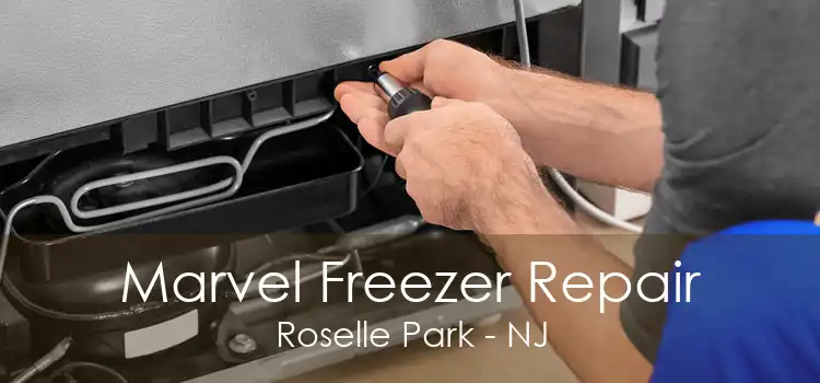 Marvel Freezer Repair Roselle Park - NJ