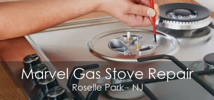 Marvel Gas Stove Repair Roselle Park - NJ