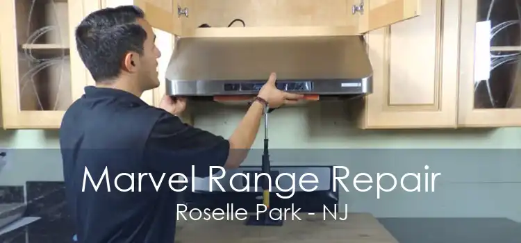 Marvel Range Repair Roselle Park - NJ
