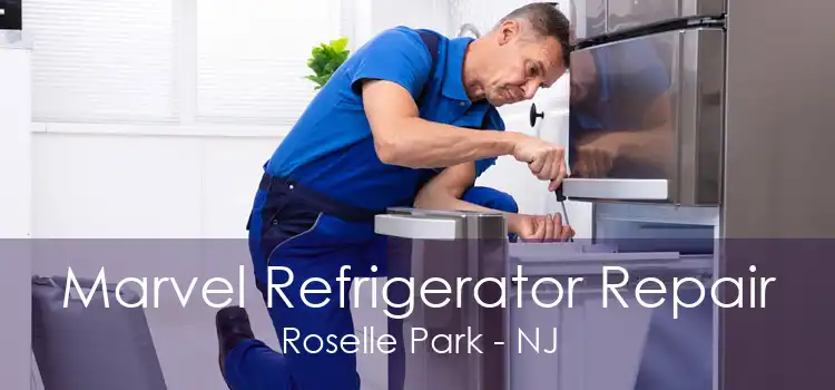 Marvel Refrigerator Repair Roselle Park - NJ