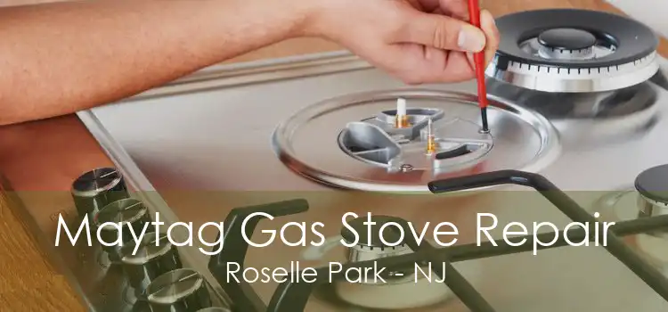 Maytag Gas Stove Repair Roselle Park - NJ