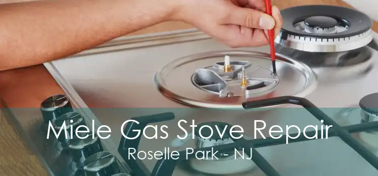 Miele Gas Stove Repair Roselle Park - NJ