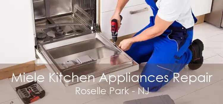 Miele Kitchen Appliances Repair Roselle Park - NJ