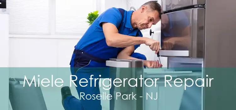 Miele Refrigerator Repair Roselle Park - NJ