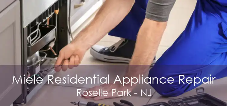 Miele Residential Appliance Repair Roselle Park - NJ