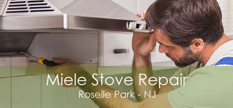 Miele Stove Repair Roselle Park - NJ