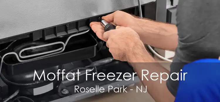 Moffat Freezer Repair Roselle Park - NJ