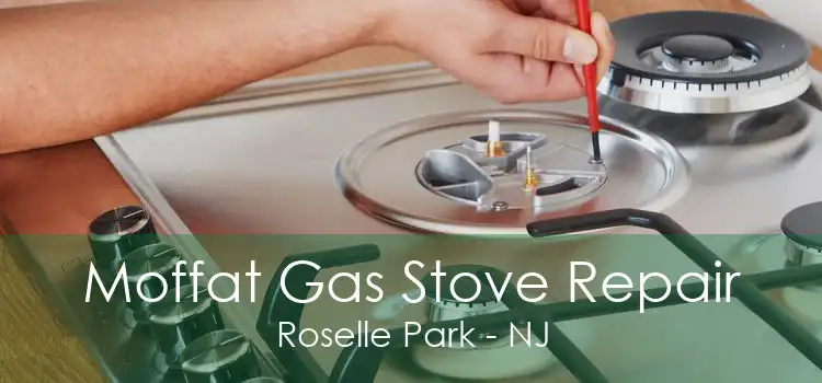 Moffat Gas Stove Repair Roselle Park - NJ