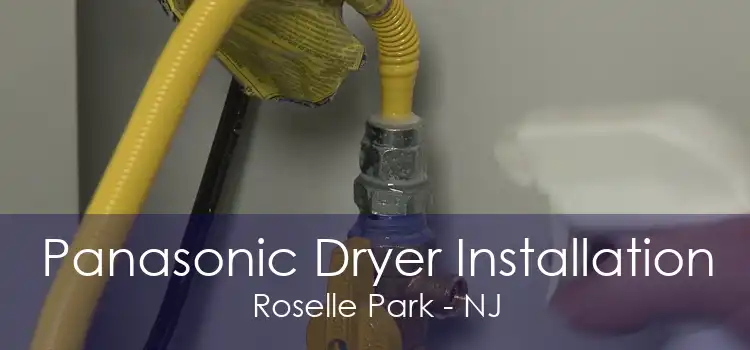 Panasonic Dryer Installation Roselle Park - NJ