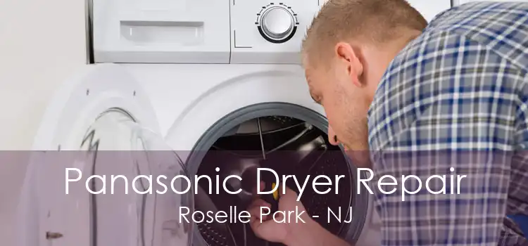 Panasonic Dryer Repair Roselle Park - NJ
