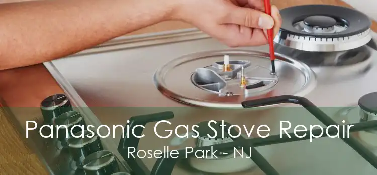 Panasonic Gas Stove Repair Roselle Park - NJ